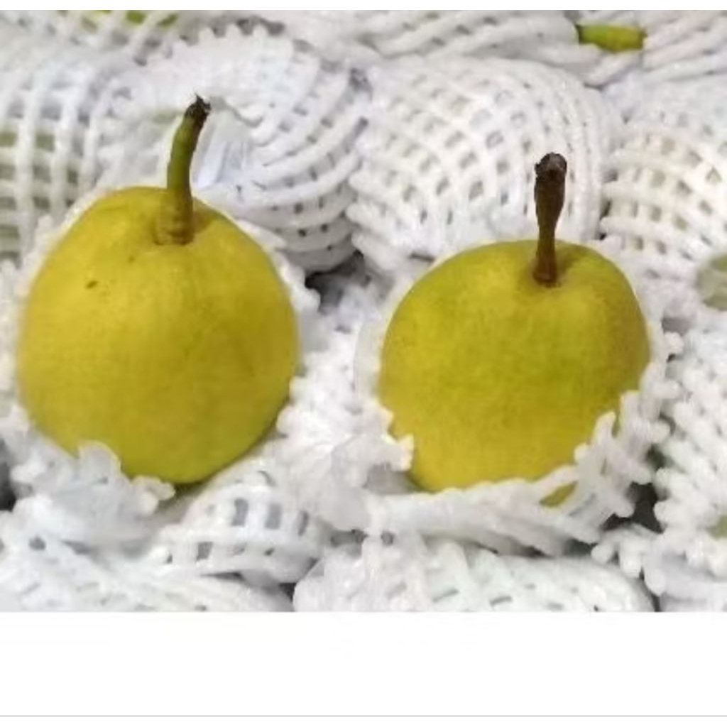 Buah pear xiang li 1kg