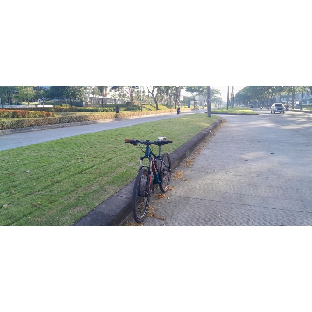 polygon xtrada 6 2019