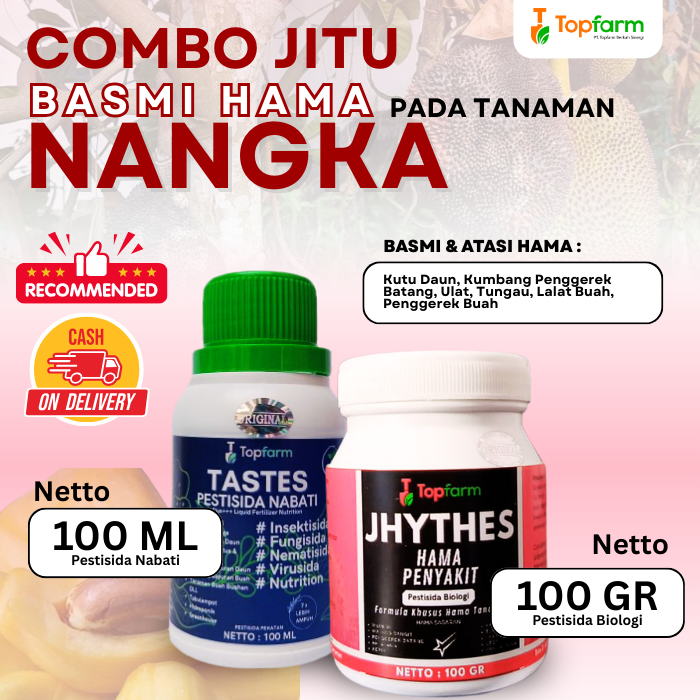 Insektisida Buah Nangka / Obat Hama Buah Nangka / Obat Lalat Buah Nangka / Insektisida Obat Hama Pem