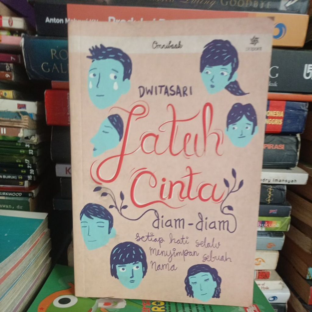 Jatuh Cinta Diam -Diam