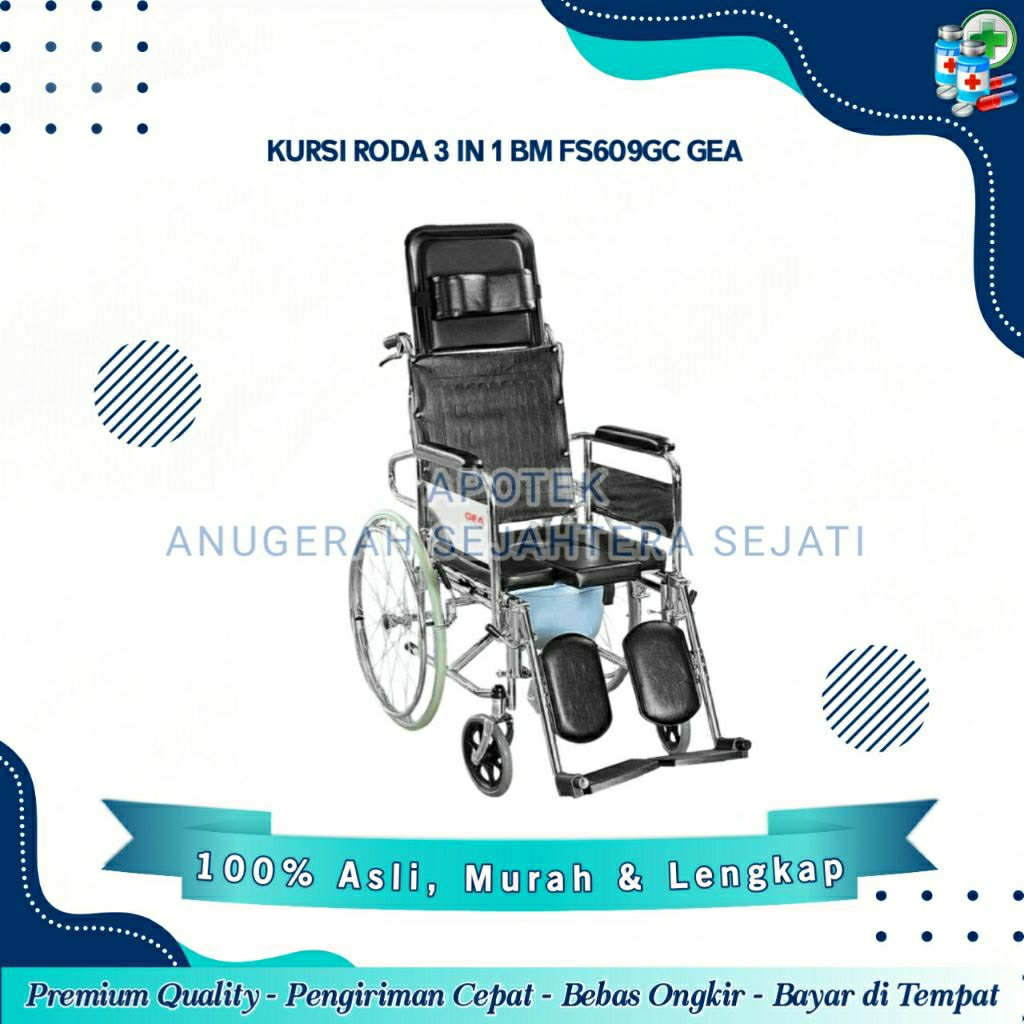 Kursi Roda 3 In 1 Multifungsi / FS609GC / GEA