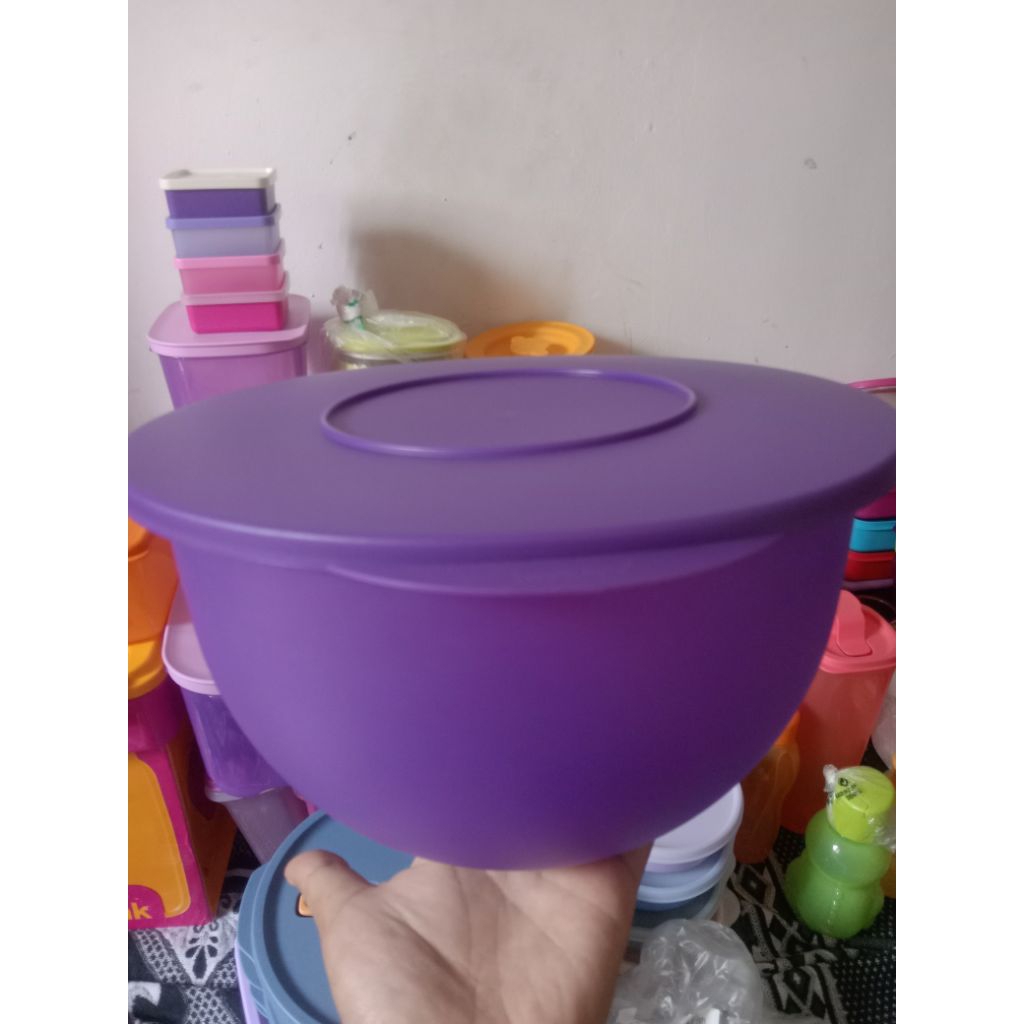 Expression bowl ungu 4L