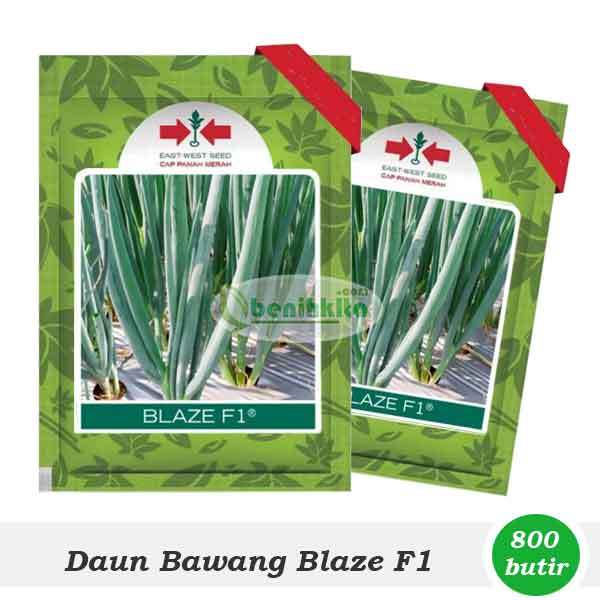 Benih Daun Bawang Blaze F1 Cap Panah Merah