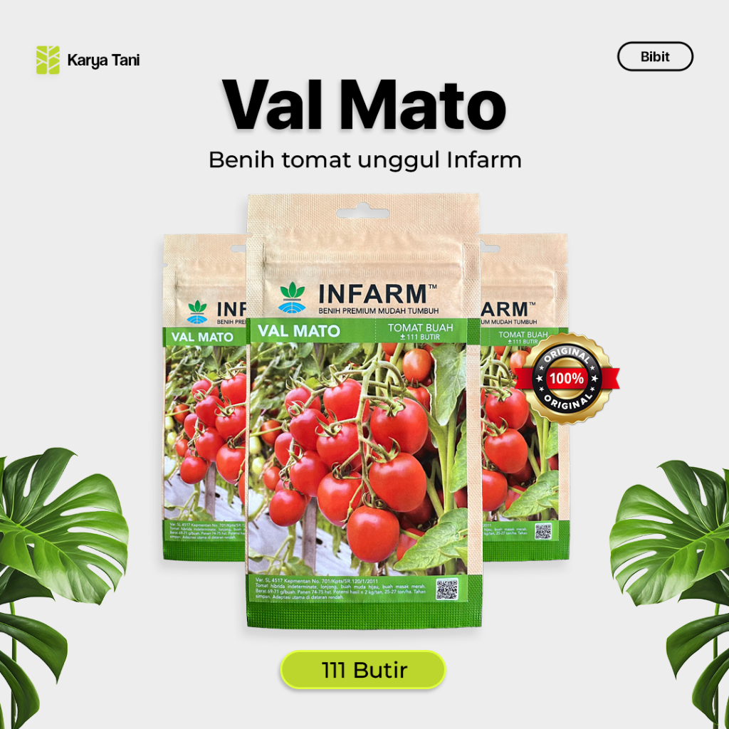 Benih Tomat Buah Valmato 111 Butir Benih Infarm