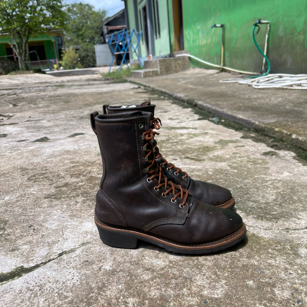 Golden retriever packer boot boots logger
