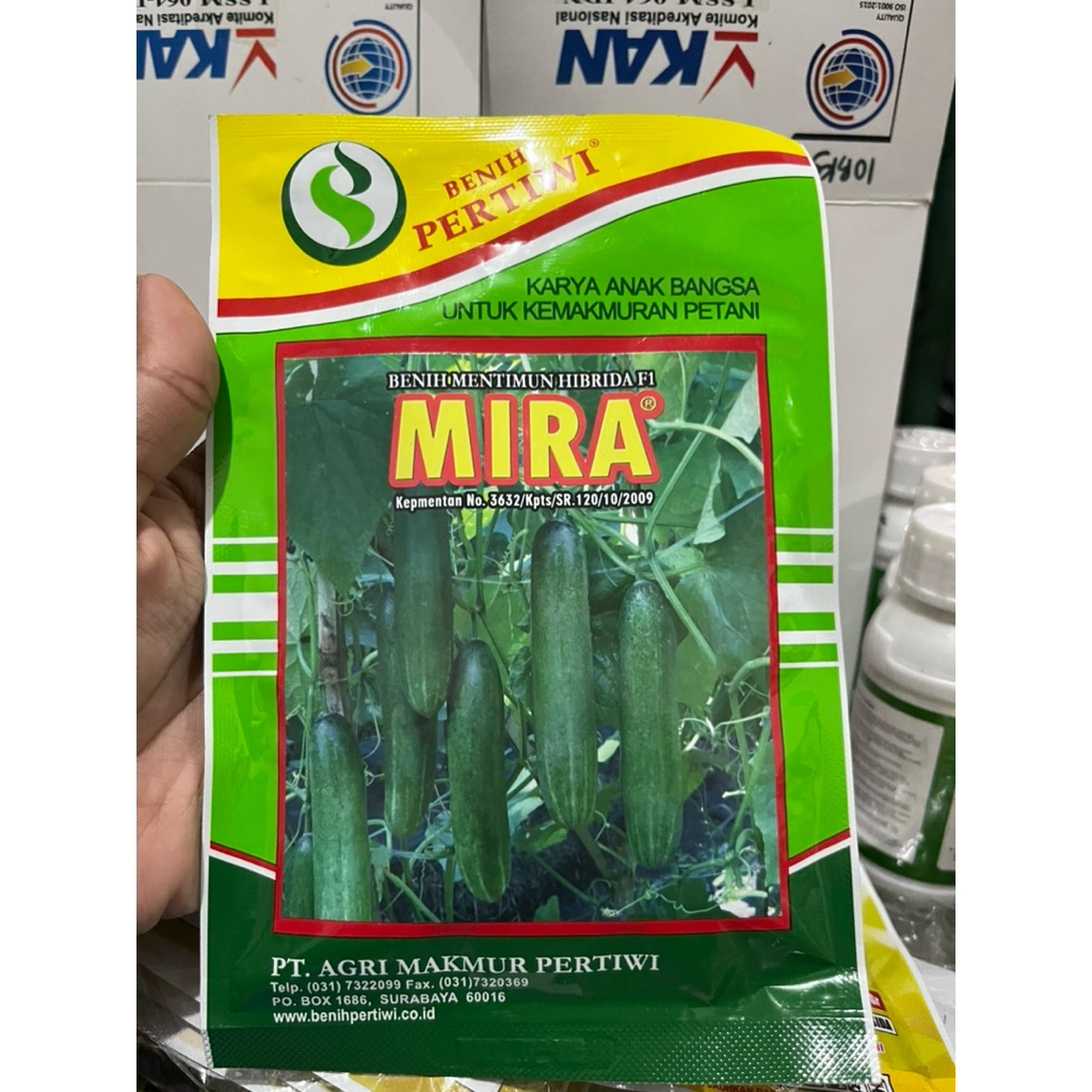Benih Timun Mira Pertiwi 10gr