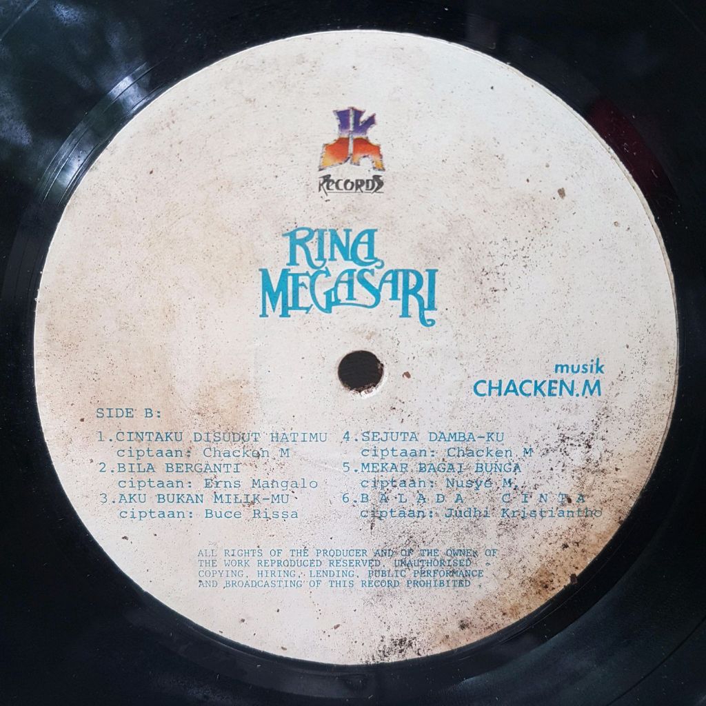 Vinyl Piringan Hitam Rina Megasari - Indonesia Tercinta