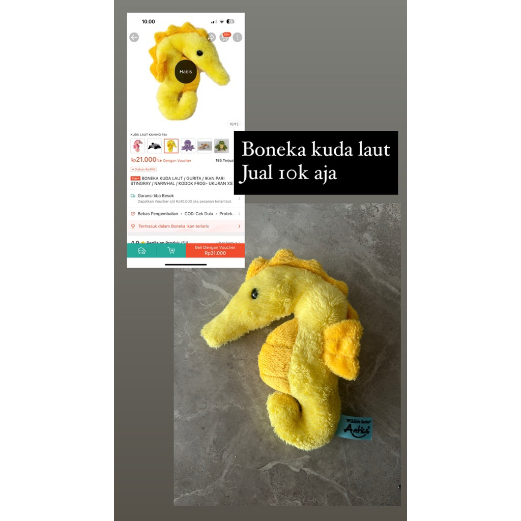 Boneka kuda laut seahorse