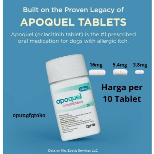 Obat Gatal Dermatitis Untuk Anjing | Apoquel Oclacitinib 10 Tablet
