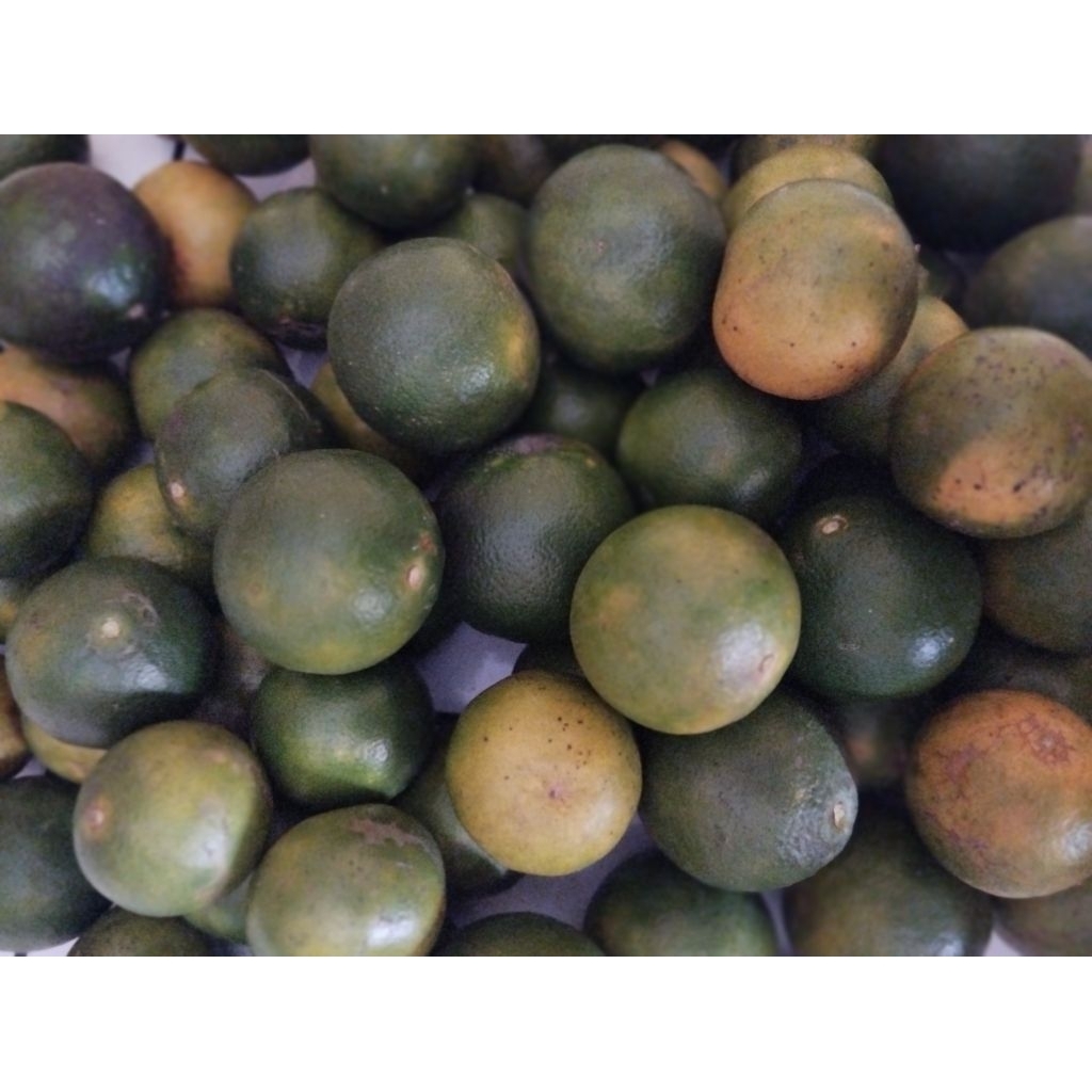 JERUK PERAS 1KG MANIS