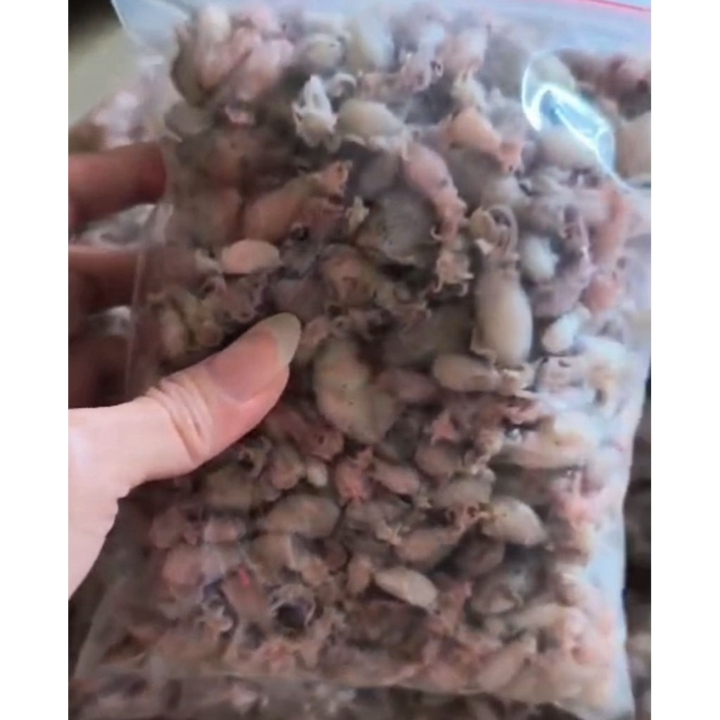 baby cumi telor Medan