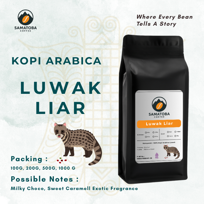 Kopi Luwak Liar Arabica Aceh Gayo Roasted Beans - Samatoba Coffee