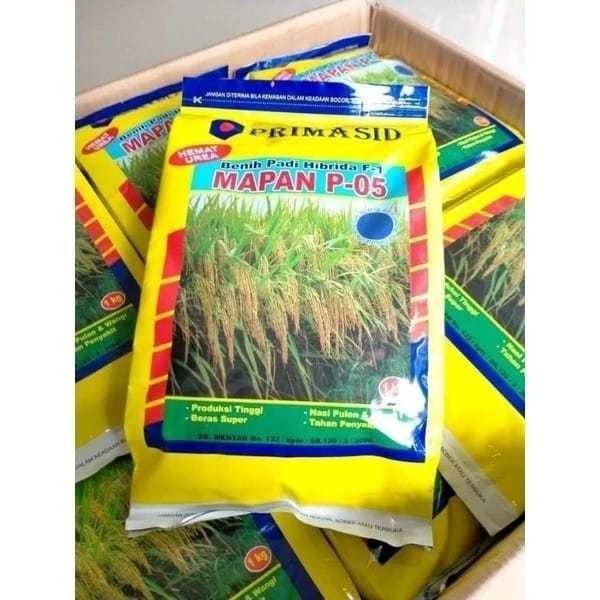 Diskon Benih Padi Mapan P05 1 Kg Super Pulen