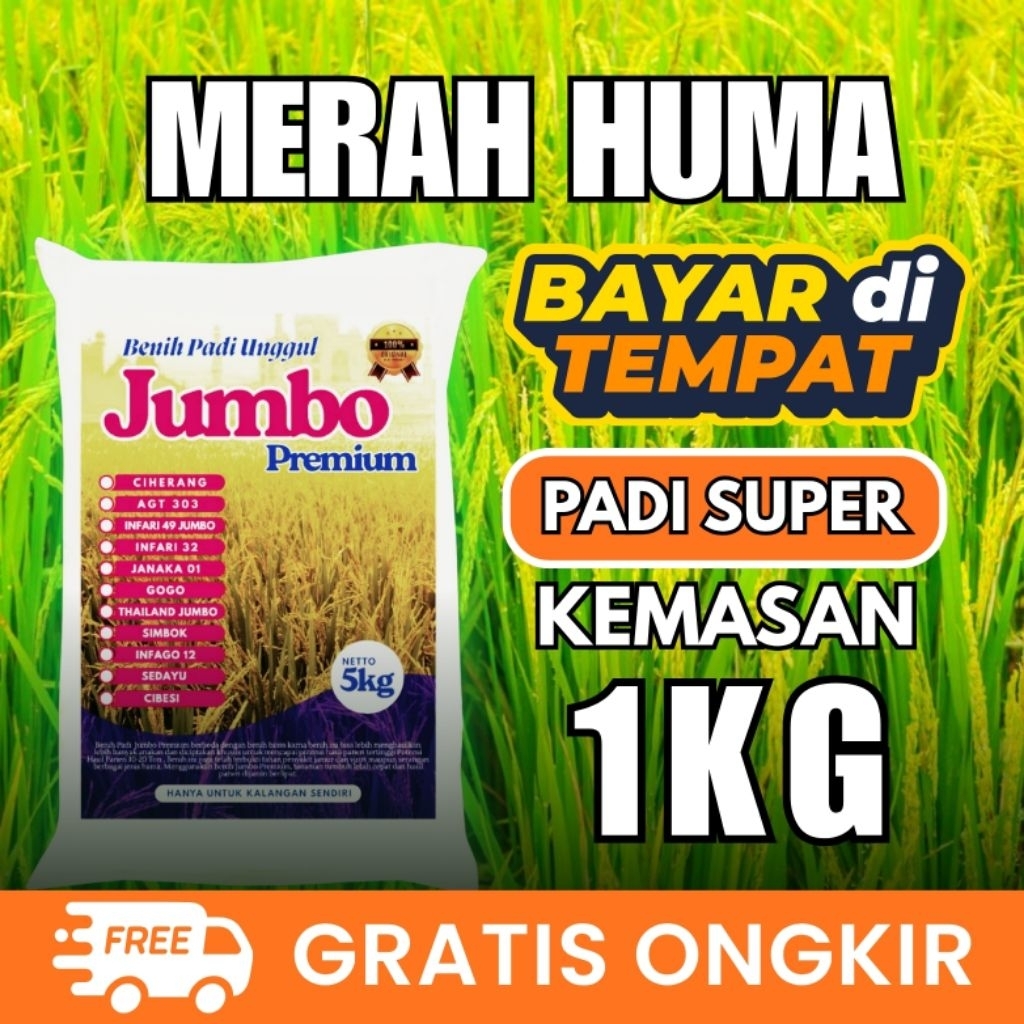 Bibit Padi Unggul Beras Merah Huma 1kg