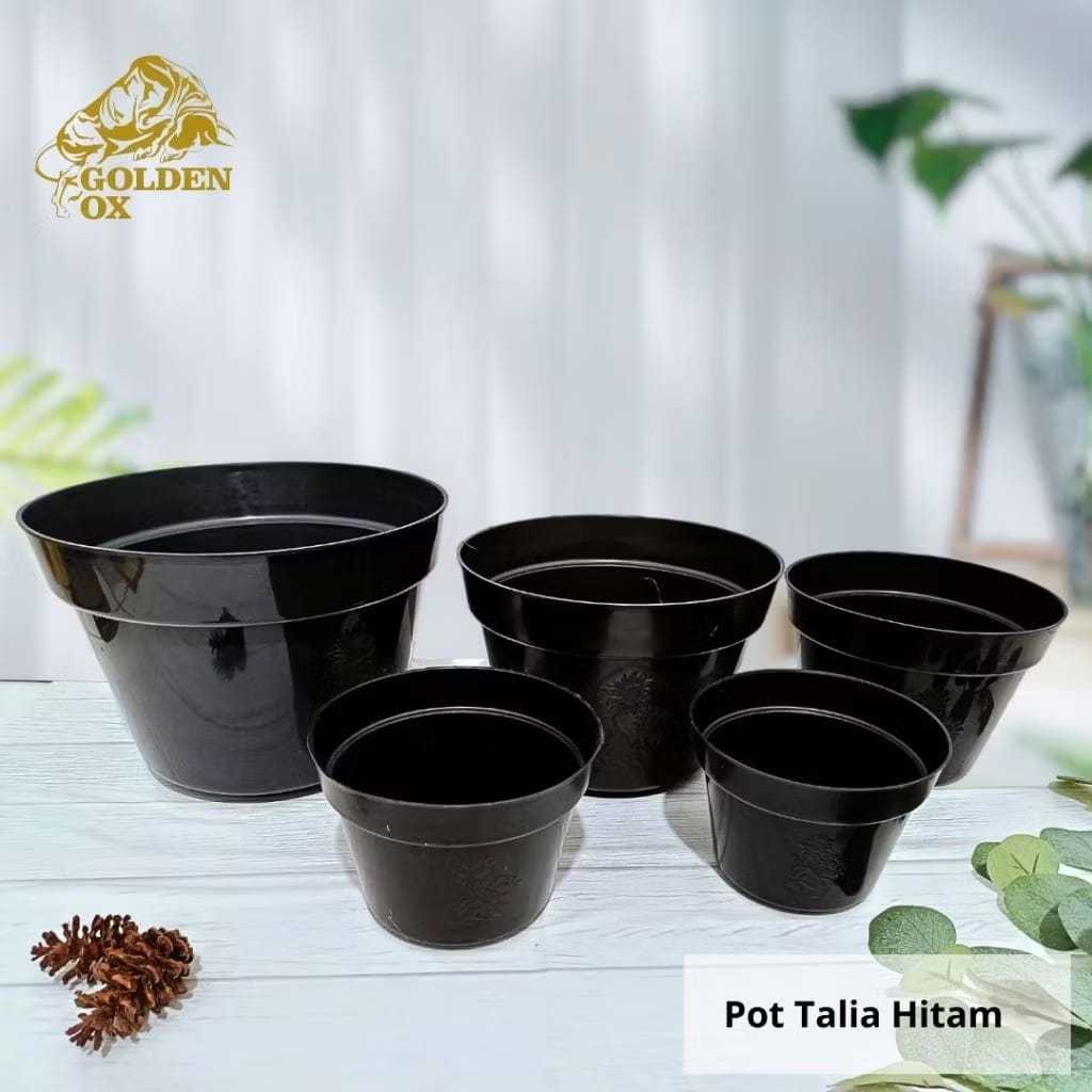 ( 1 LUSIN ) Pot Bunga Talia Hitam / Pot Bibit / Pot Tanaman / Pot Bunga