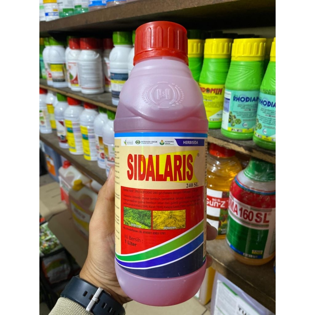 Herbisida SIDALARIS 240SL | Herbisida untuk membasmi gulma daun lebar, daun sempit & teki-tekian