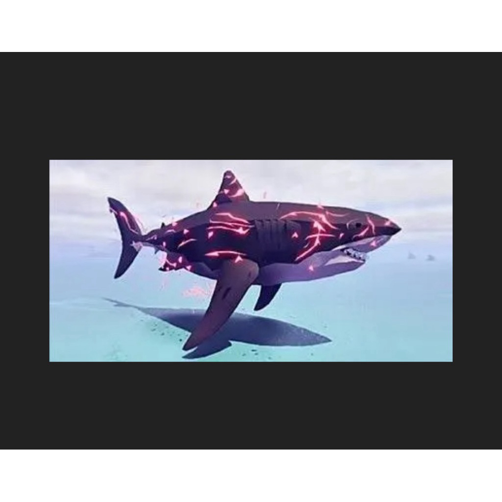 Mainan Ikan Megalodon Fish ityu