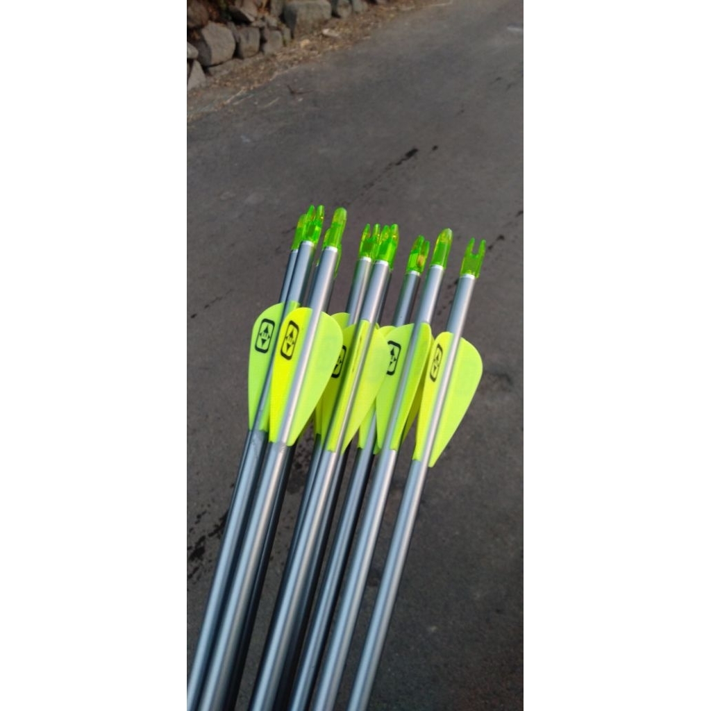 Arrow Easton Platinum