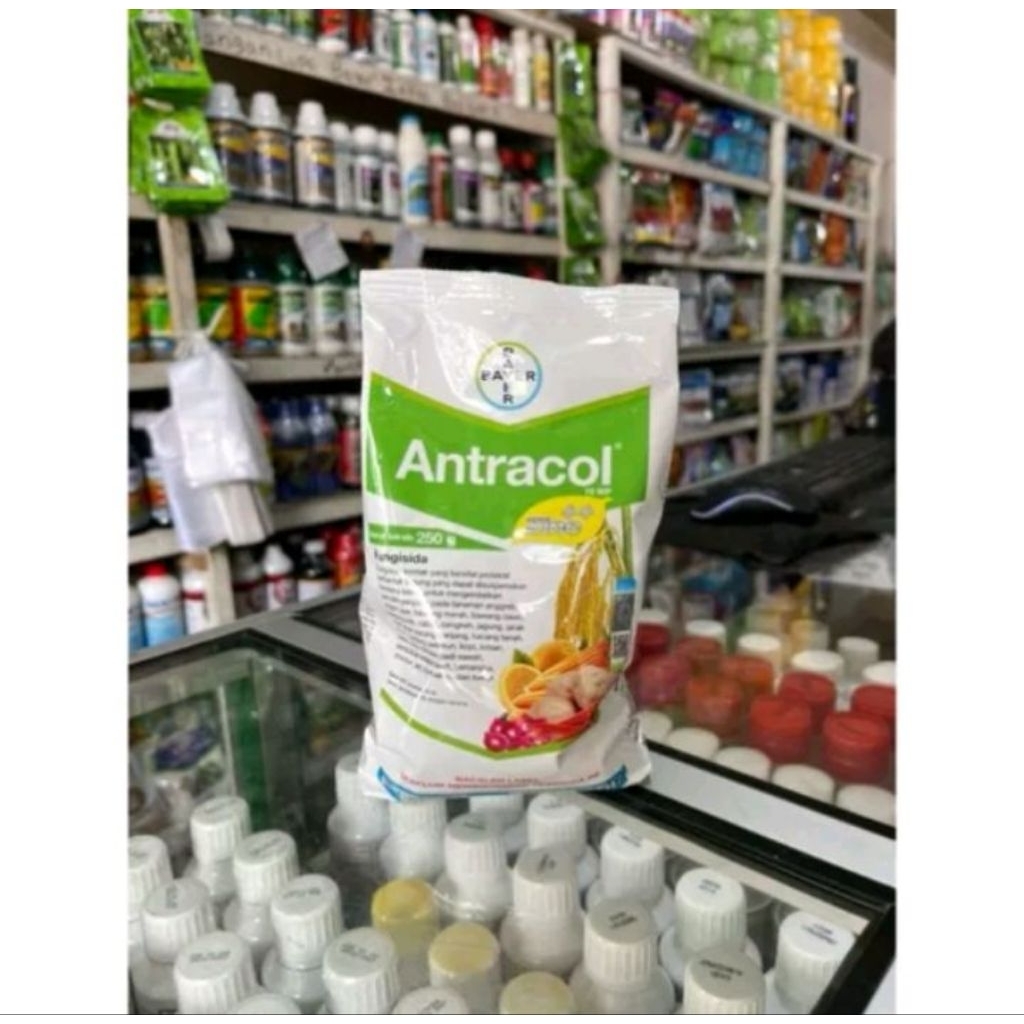 Antracol 250gram