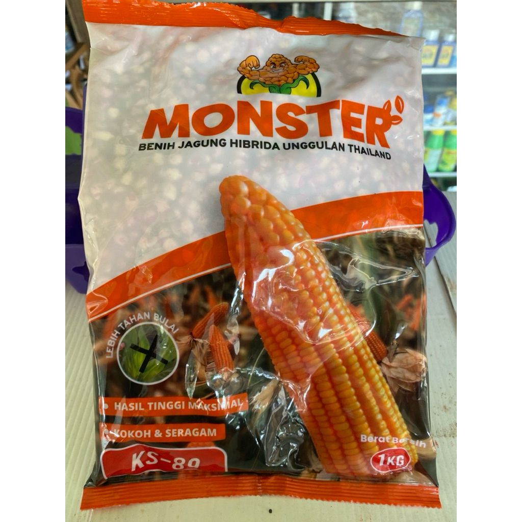 Benih Jagung Hibrida MONSTER  1Kg