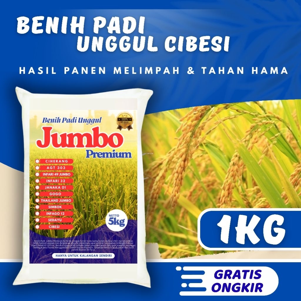 Bibit Padi Unggul Cibesi 1kg