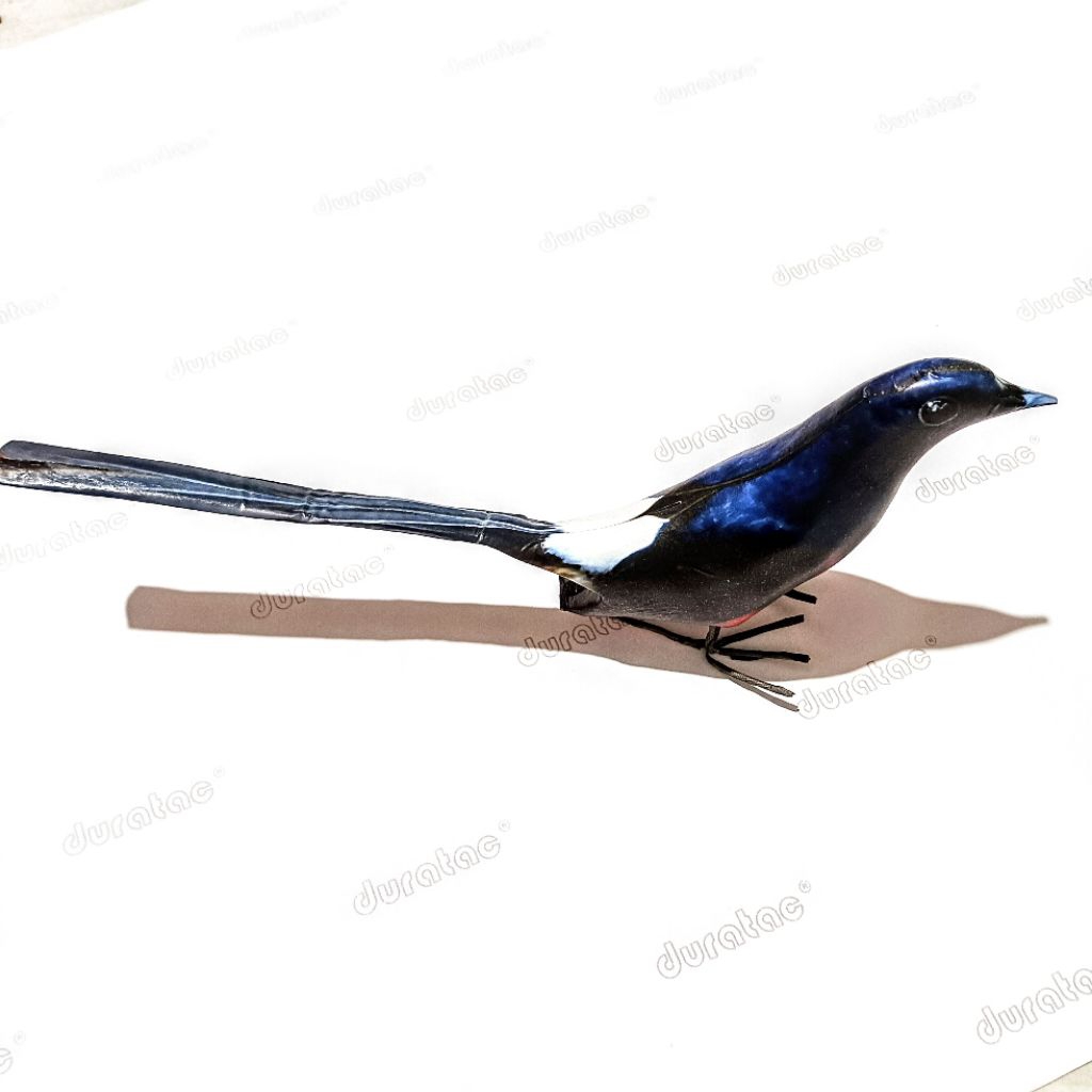 Boneka Dekoy Burung Murai Lampung / Anti penyok 3D / Jontrot Pikat Burung Murai