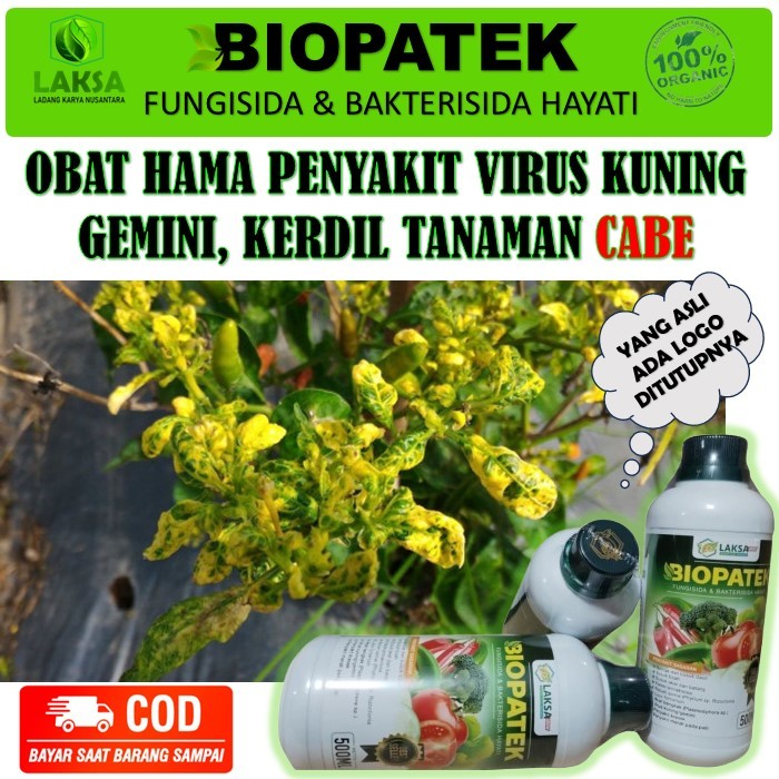 Biopatek Fungisida Bakterisida Hayati Obat Atasi Hama Virus Kuning/Gemini Pada Tanaman Cabe - Pupuk 