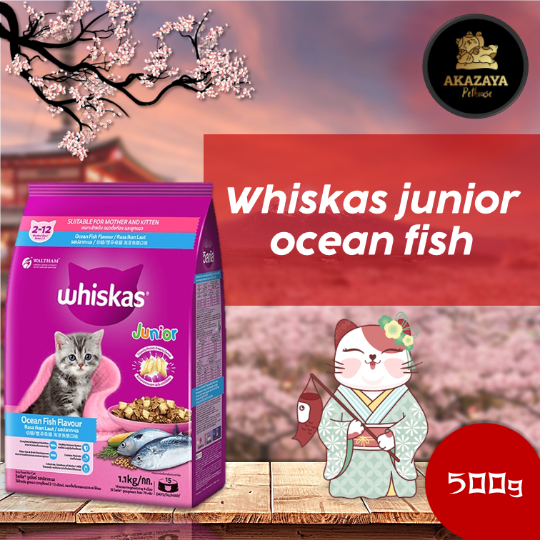 WHISKAS JUNIOR OCEAN FISH | WHISKAS JUNIOR OCEAN FISH 500 GRAM  WHISKAS JUNIOR REPACK