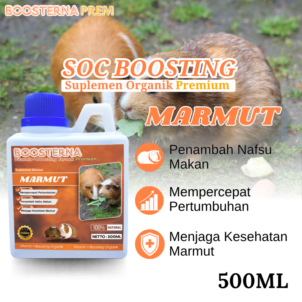 SOC BOOSTING ternak MARMUT Vitamin Probiotik Vitamin Suplemen Marmut Hias Anggora Fuzzy Lop Holland 