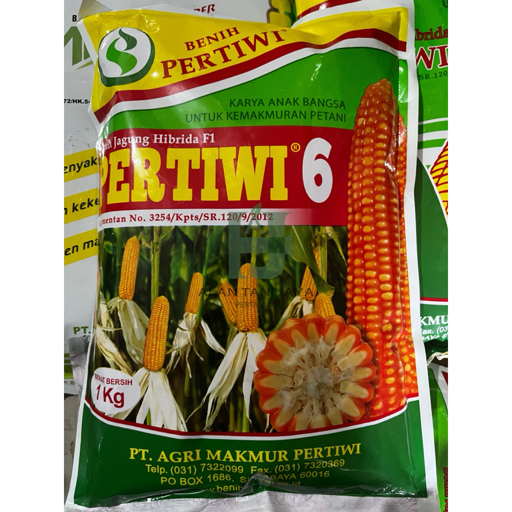 BIBIT/BENIH JAGUNG PERTIWI-6