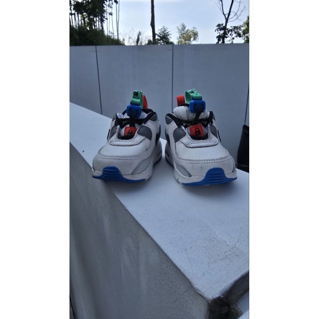 nike airmax 90 toggle