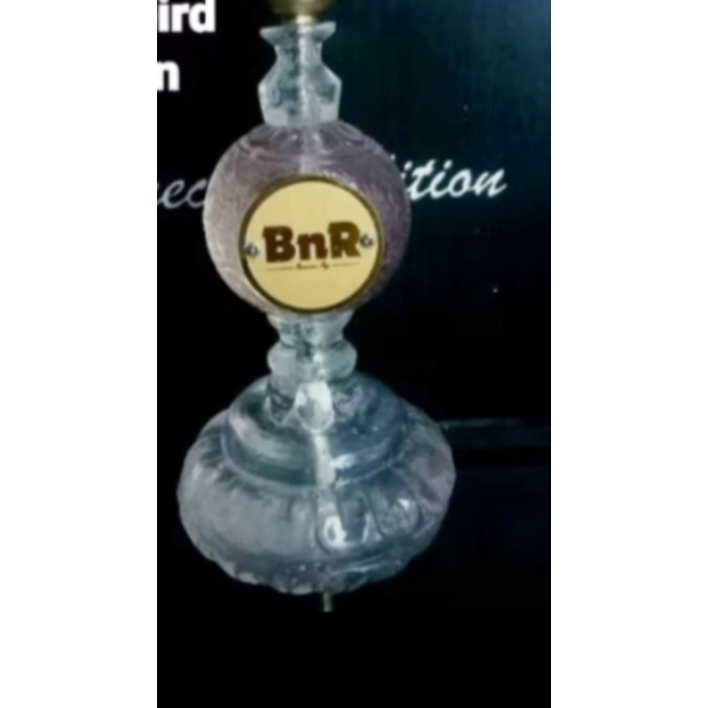 pion BnR lovebird tampa cantolan