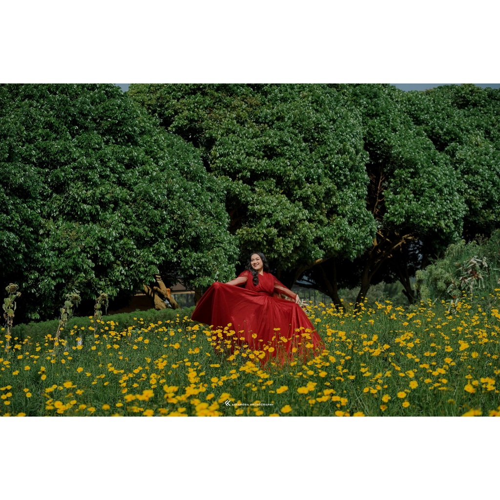 DIGIBAMS Luts Video Wedding