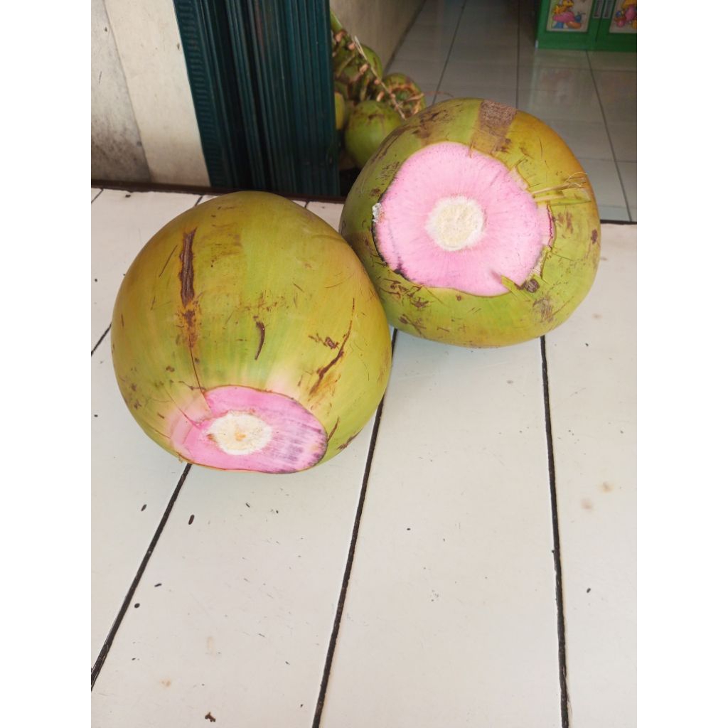 kelapa ijo merah delima dari banten