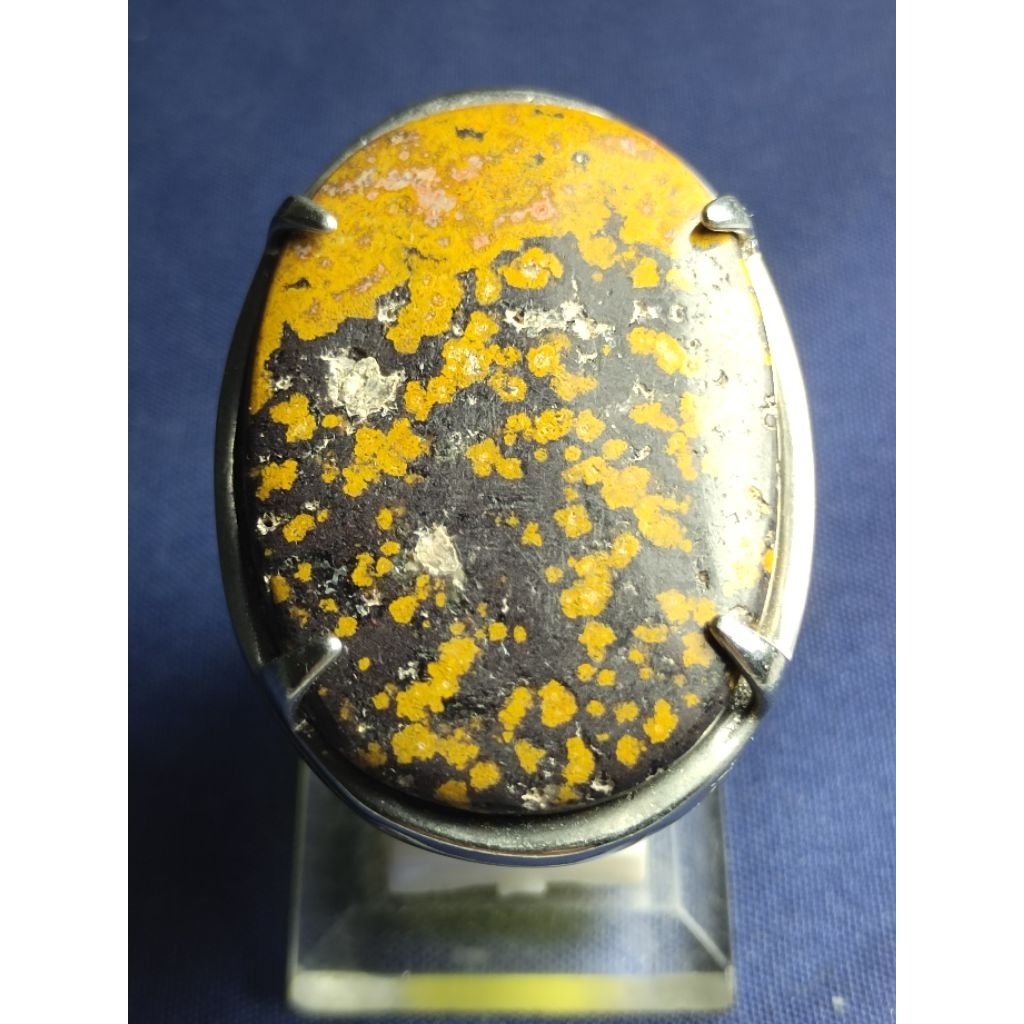 Natural Asem Petrified Wood / Batu Galih Asem, JUMBO