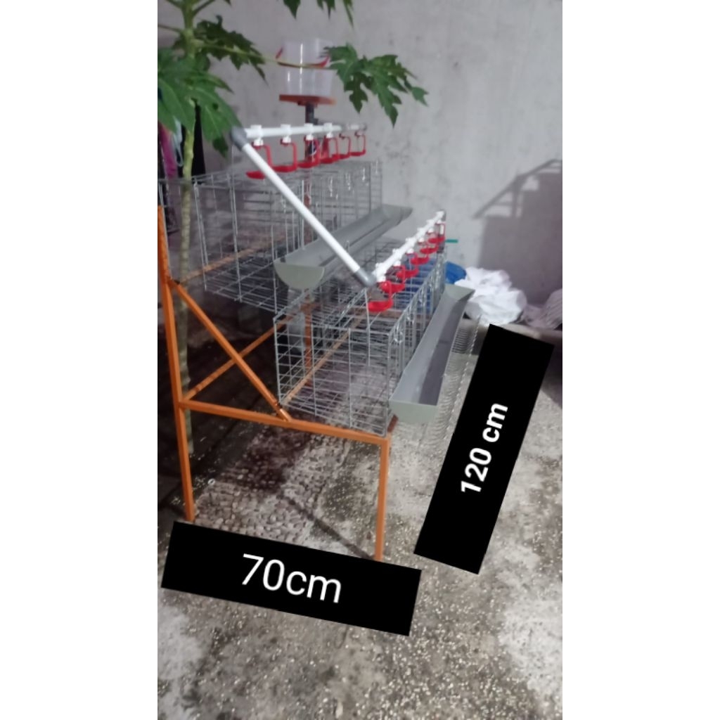 Kandang Batre Galvanis Ayam Petelur Skala Pemula Kapasitas 12 Ekor
