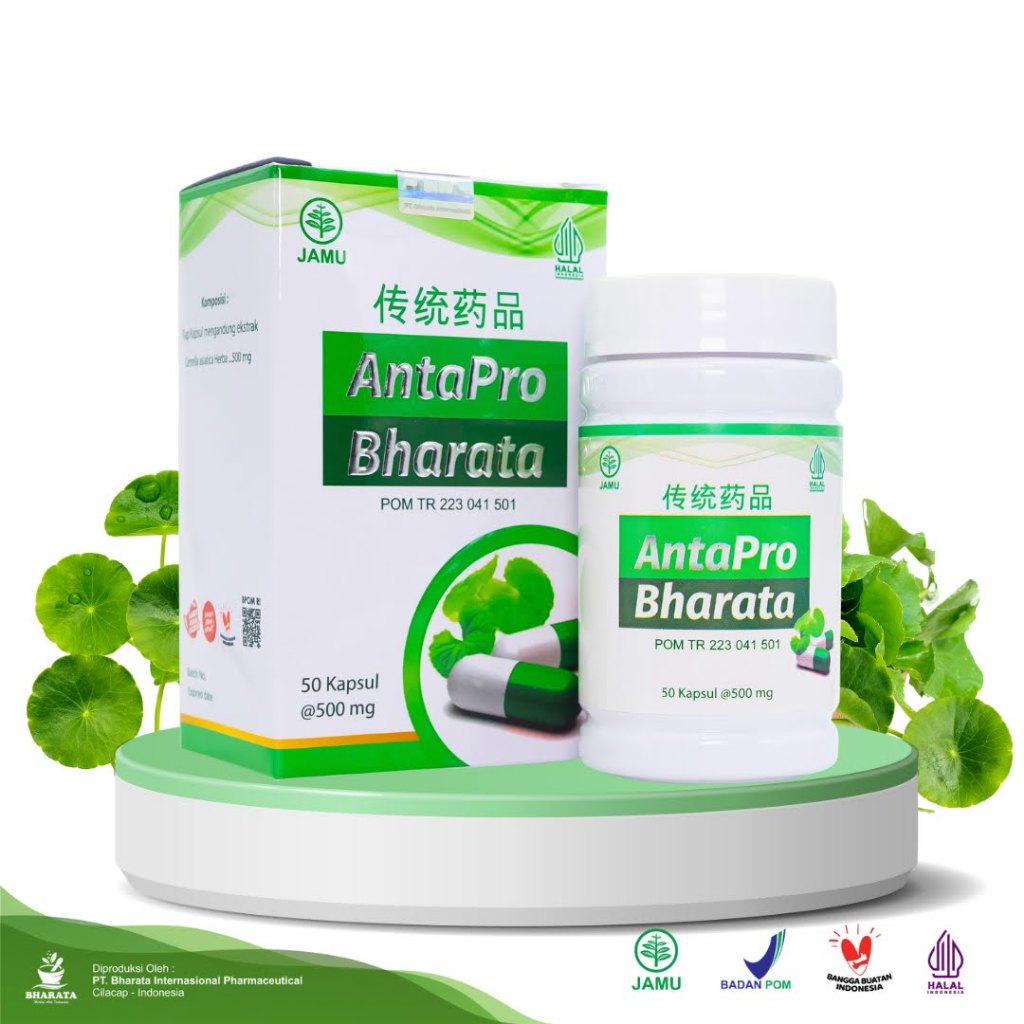 Paket Tester 2 Hari 6 Kapsul Obat Stroke ANTAPRO BHARATA Herbal Stroke Ringan Berat Stroke Struk Lum