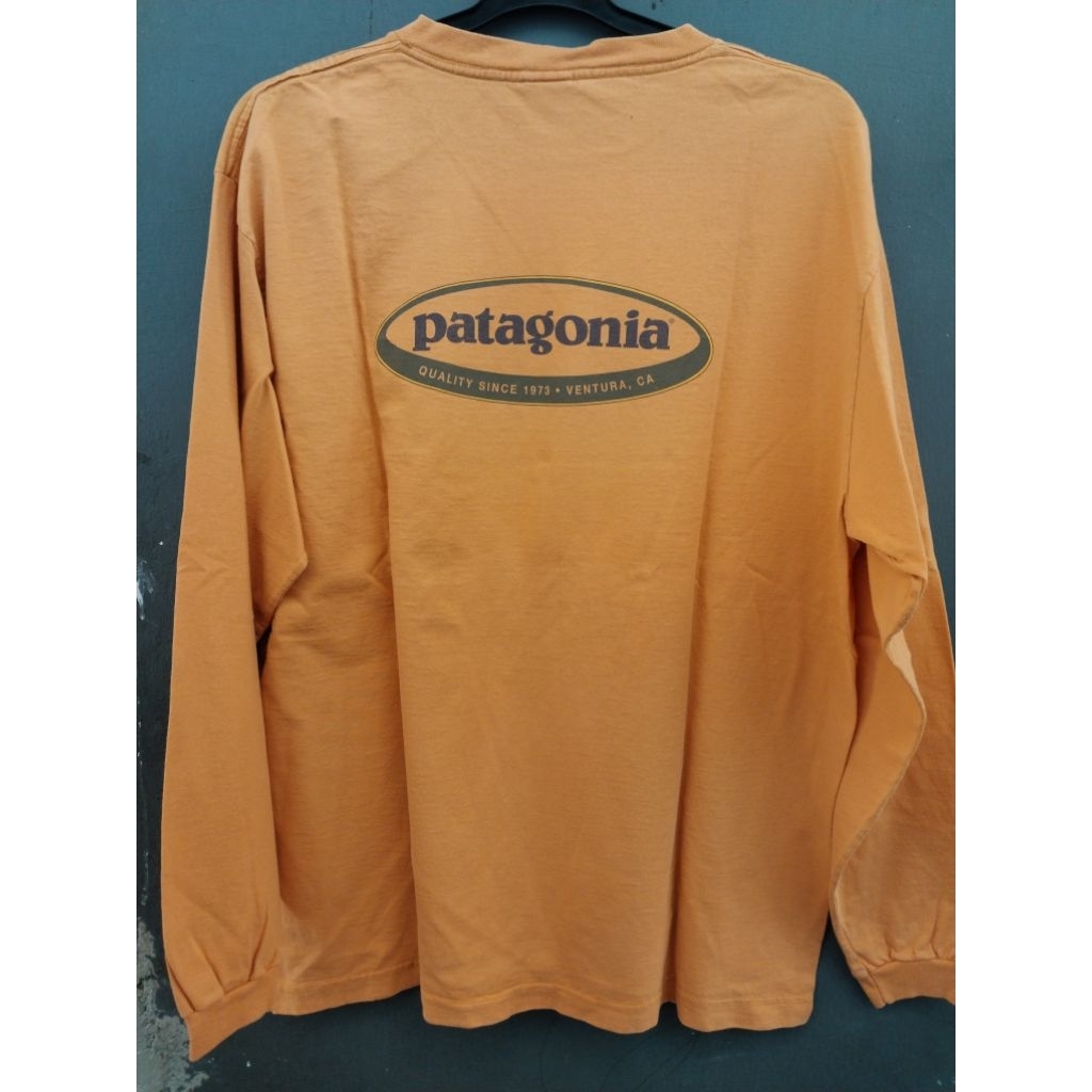 Long sleeve Patagonia