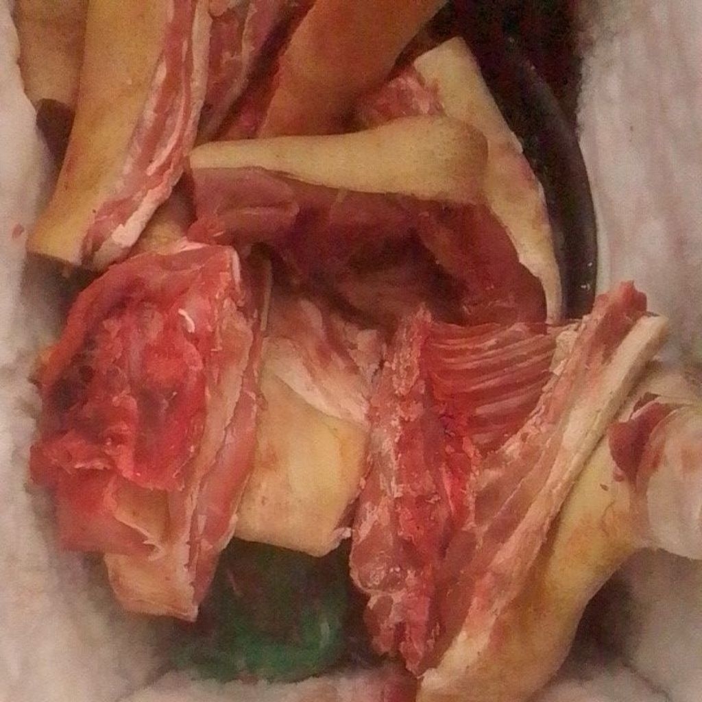 Daging Babi Hutan/Celeng