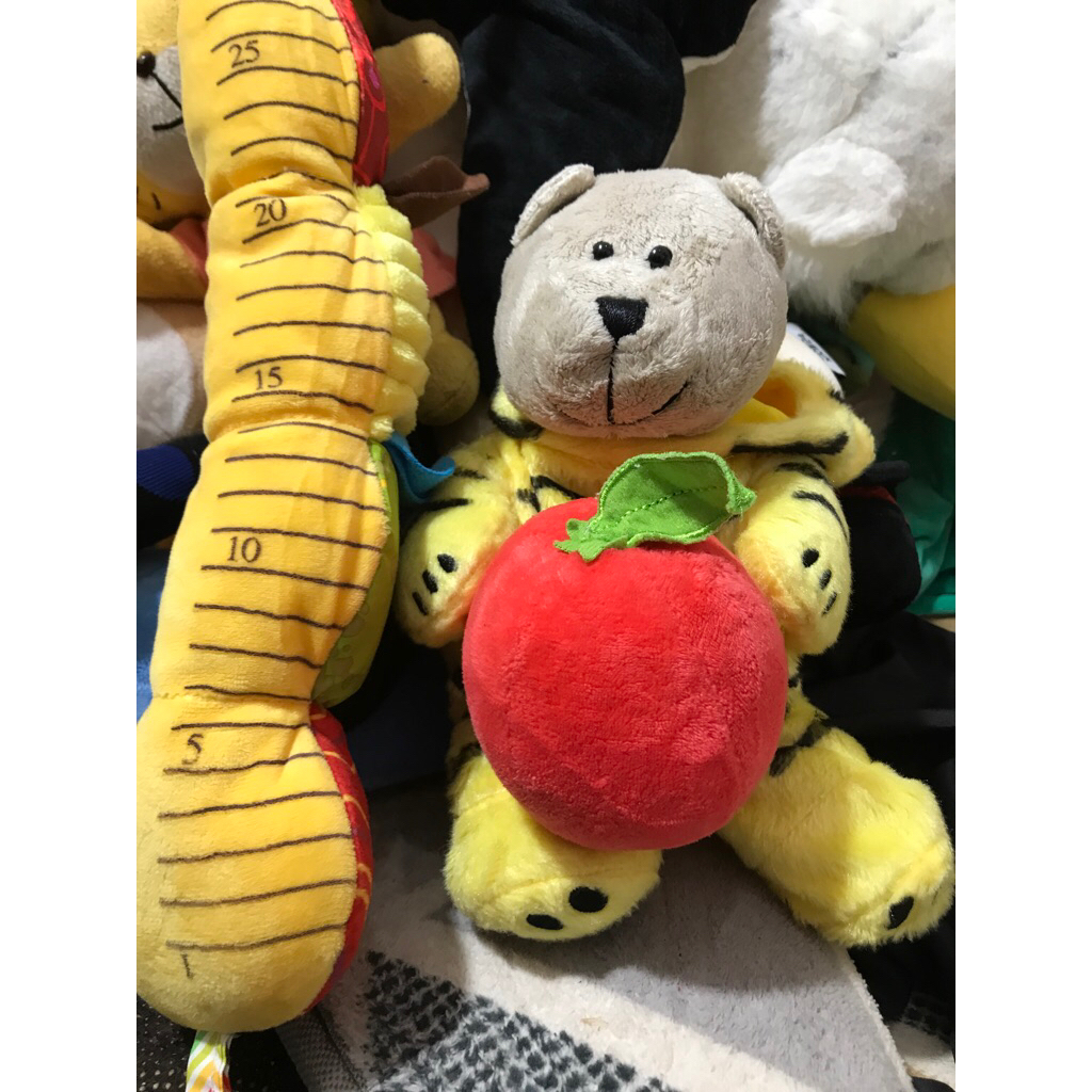 teddy bear kostum apel starbucks