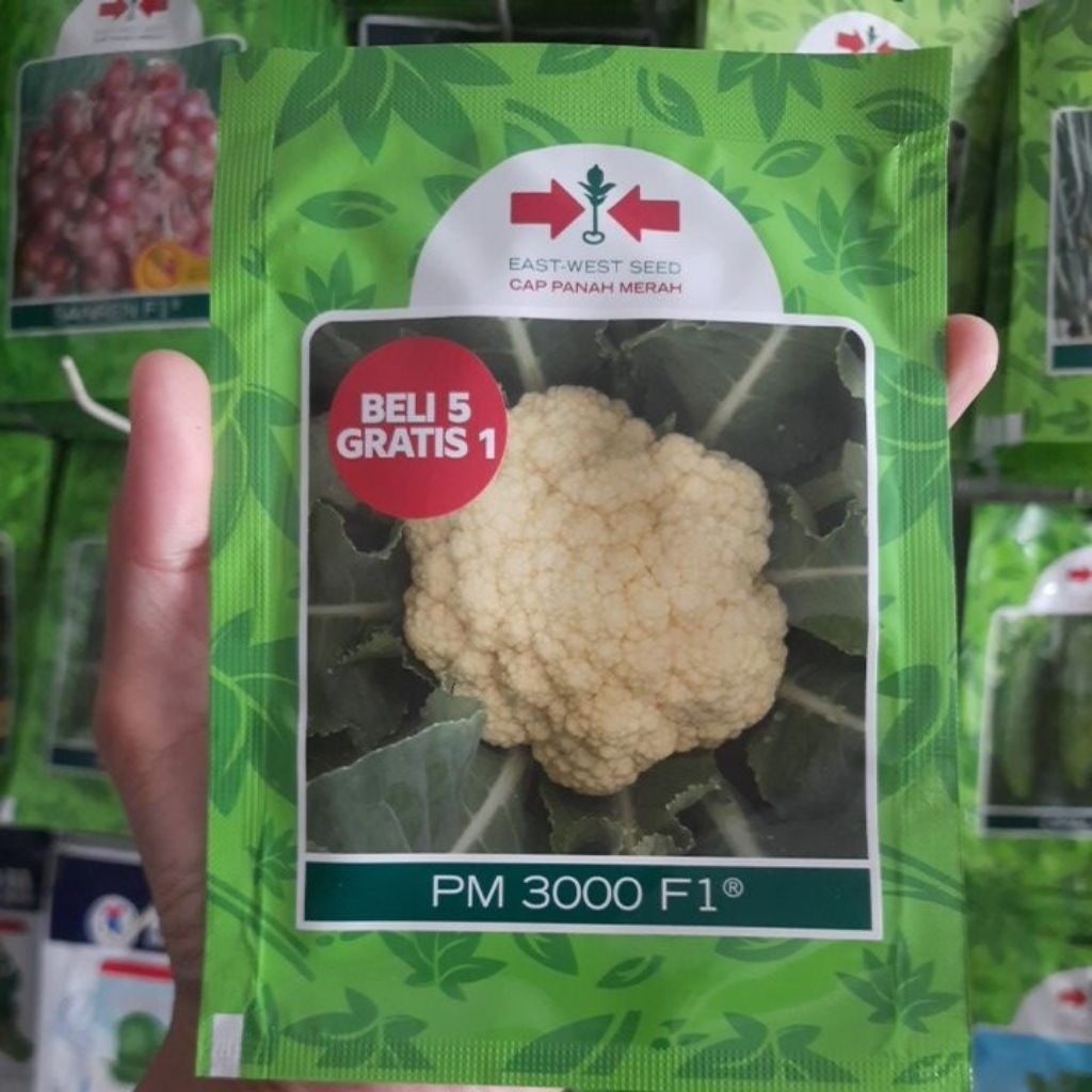 Benih Kol Bunga Dataran Rendah PM 3000 F1 Isi 10gr