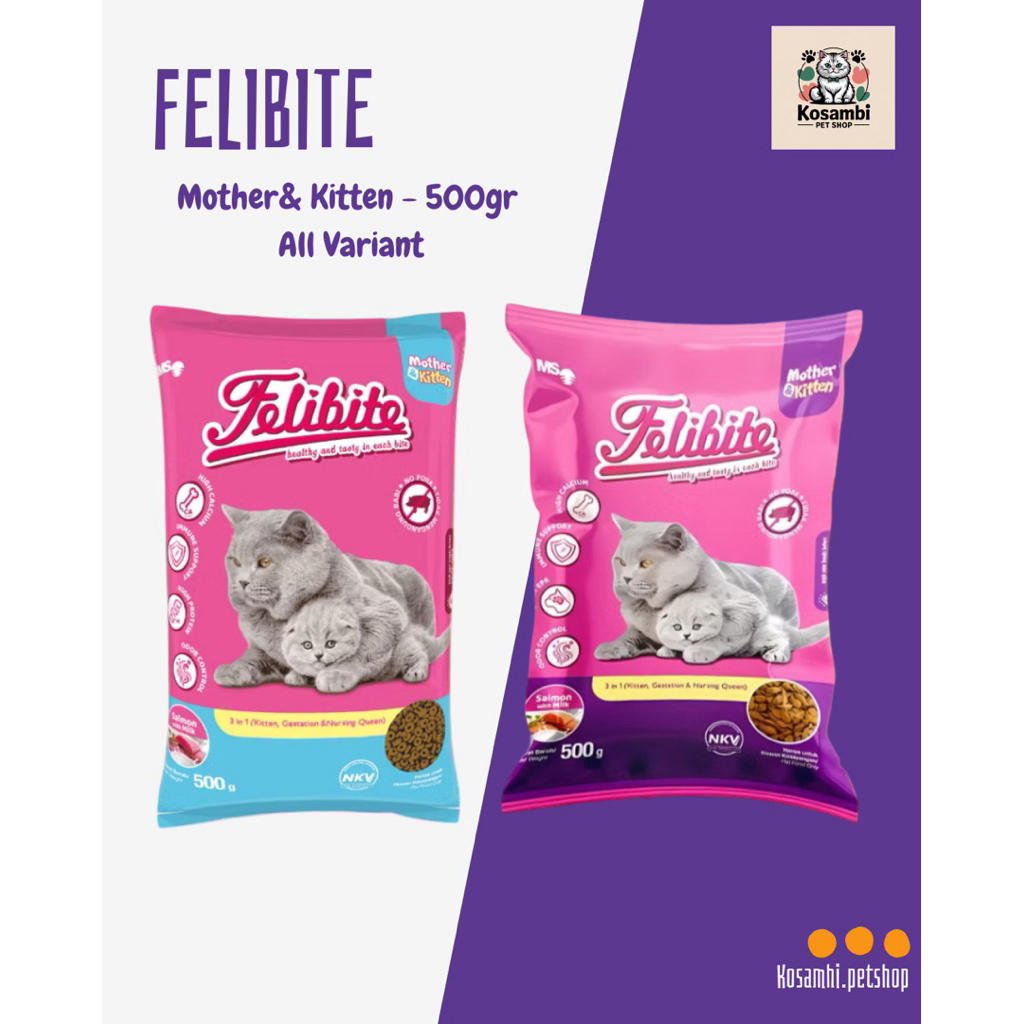 Felibite mother & kitten