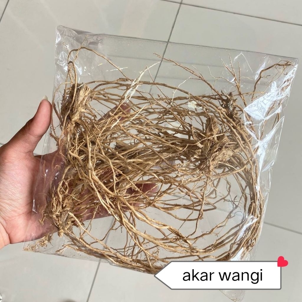 akar wangi