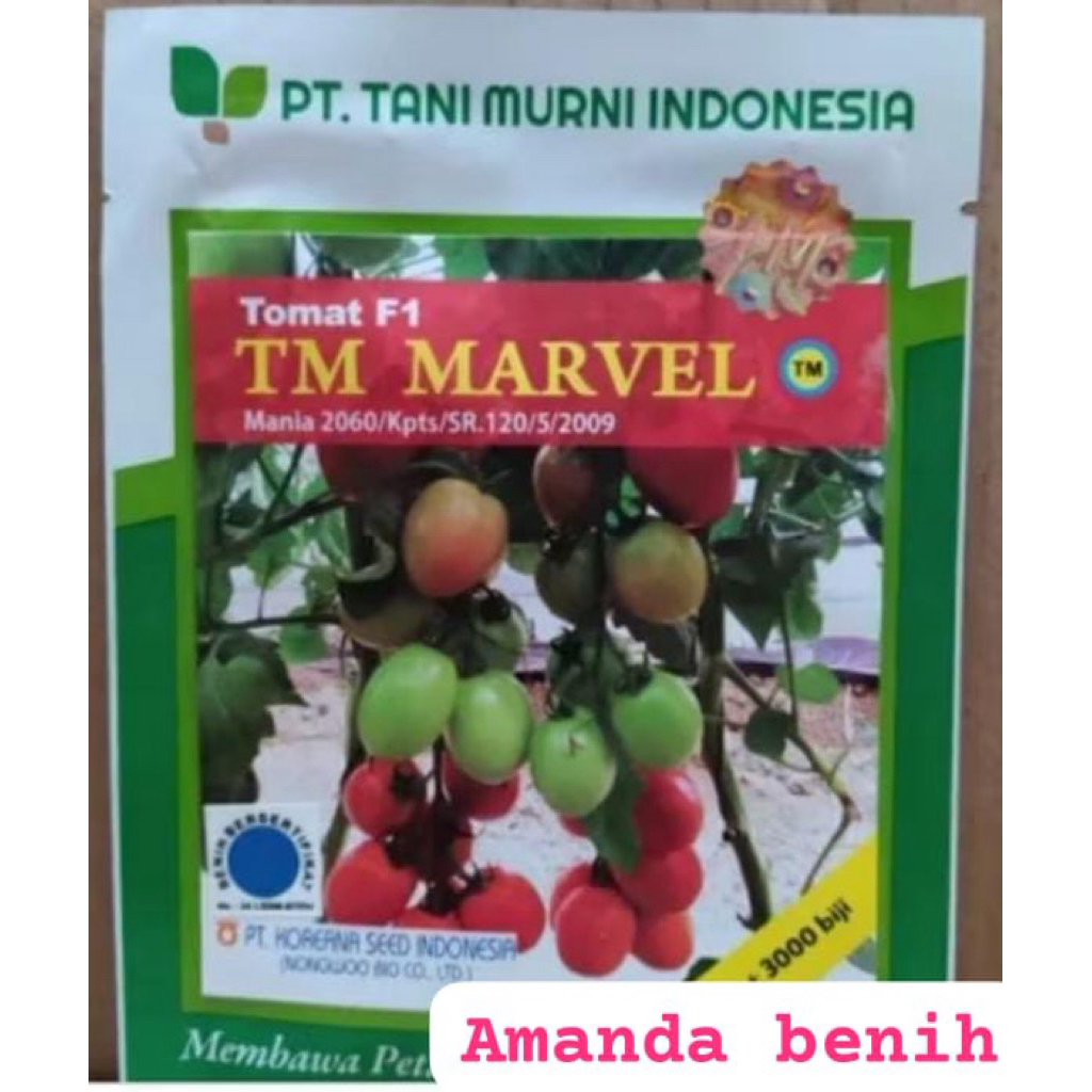 Benih tomat TM MARVEL