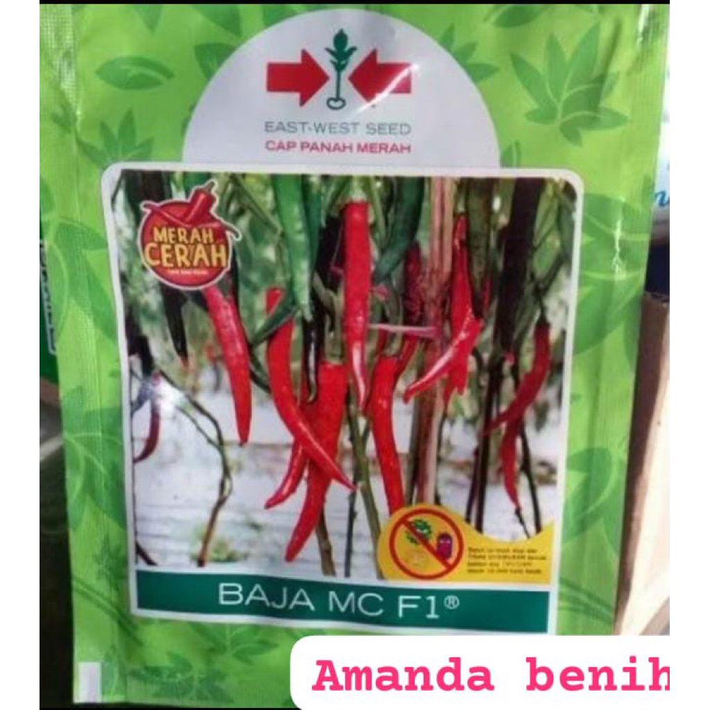 benih cabe besar BAJA MC F1