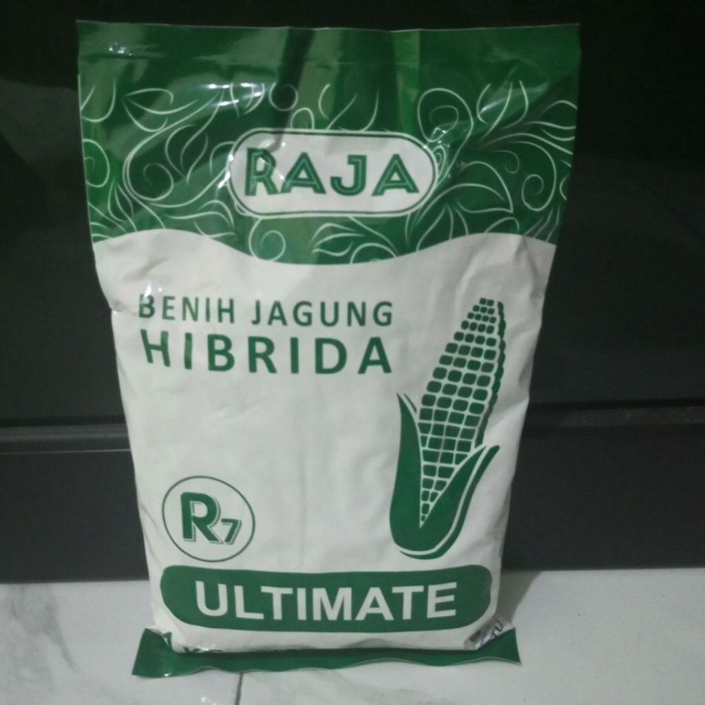 Benih jagung hibrida R7 ultimate