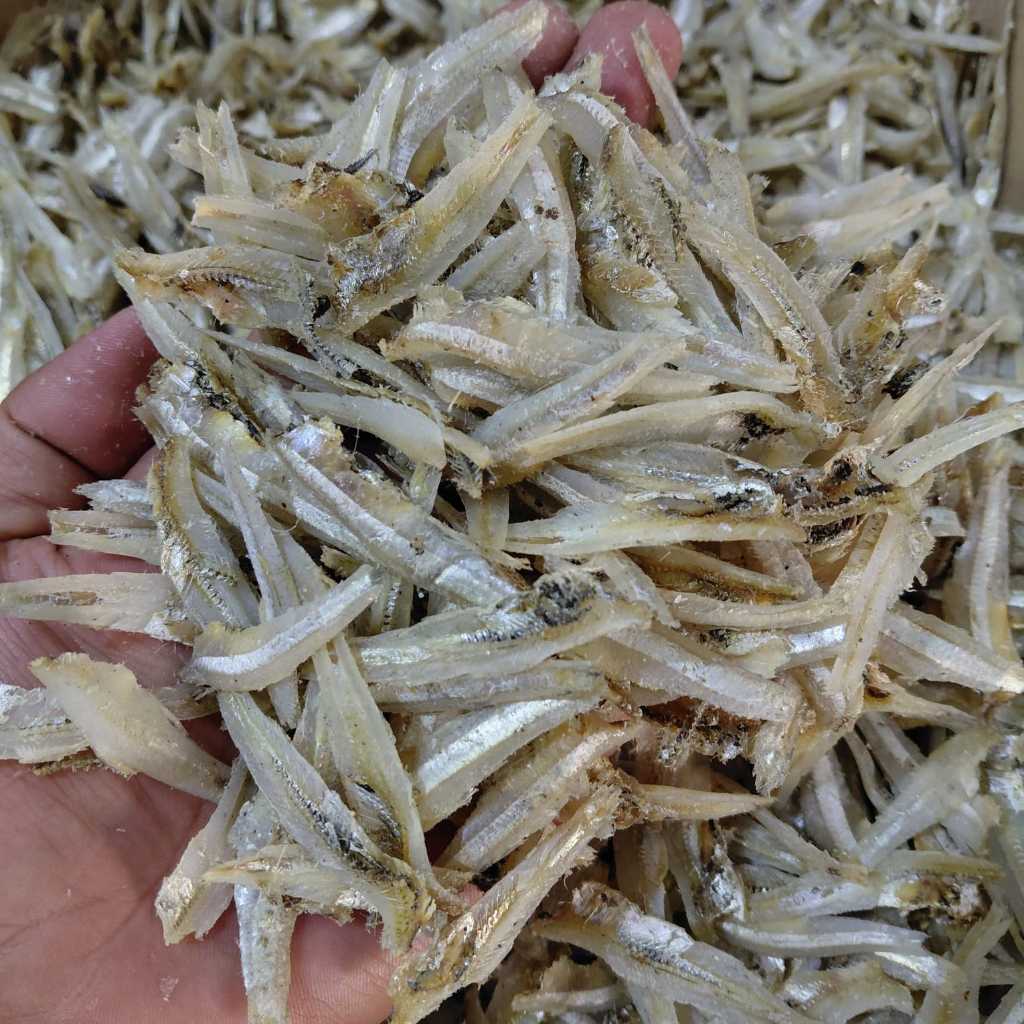 Ikan teri kacang jengki belah tanpa kepala 250 gr 500 gr