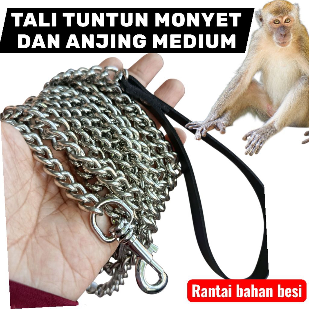 tali tuntun tali kekang MONYET, anjing medium rantai silver bahan besi kuat