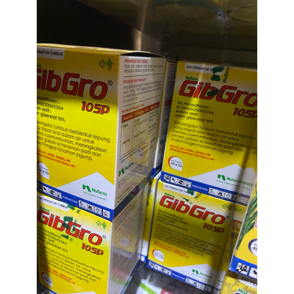 Gibgro 10SP