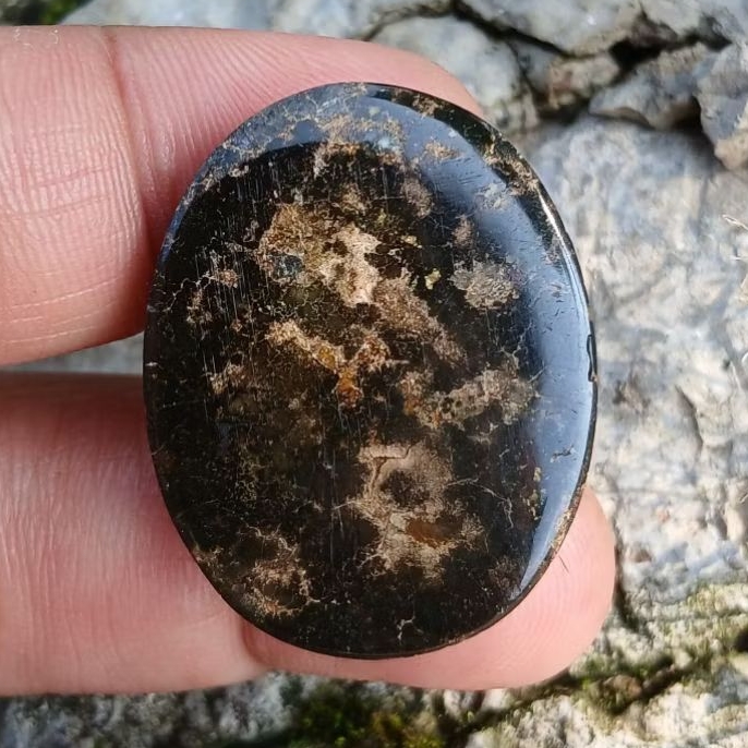 pirus hitam jumbo dim 31*24*7